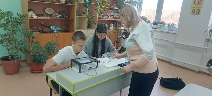 ZyUdgbZI6i5zckxH5gXGH1rG4xW1MYbPa_VHctQNZd3bTmvhDLyE0c0OgGTY2xwY8pjQvDzTJwp1av5brf9zgQIr